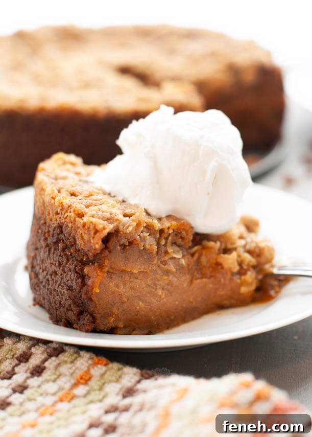 vegan-pumpkin-crumble-pie