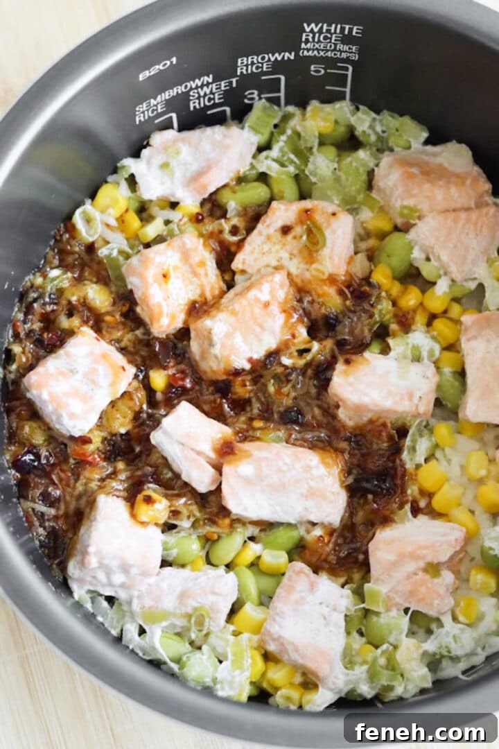 Cooked rice cooker salmon dish with sauce poured on top, unmixed