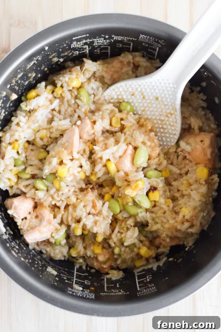 Cooked rice cooker salmon dish with sauce stirred in