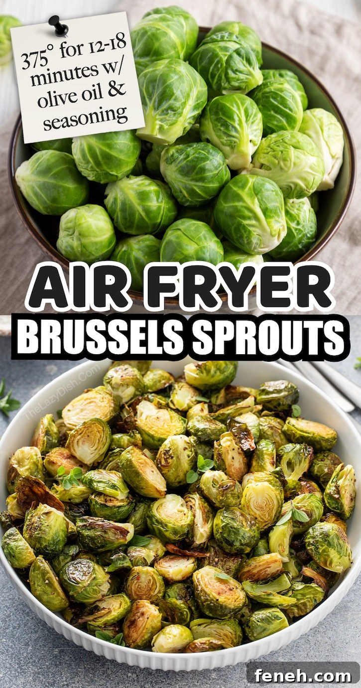The Best Air Fryer Brussels Sprouts | I love using my air fryer for just about every vegetable because they get super crispy on the outside! Way better than roasting in the oven. With an air fryer, you can make so many healthy side dishes very quickly. 