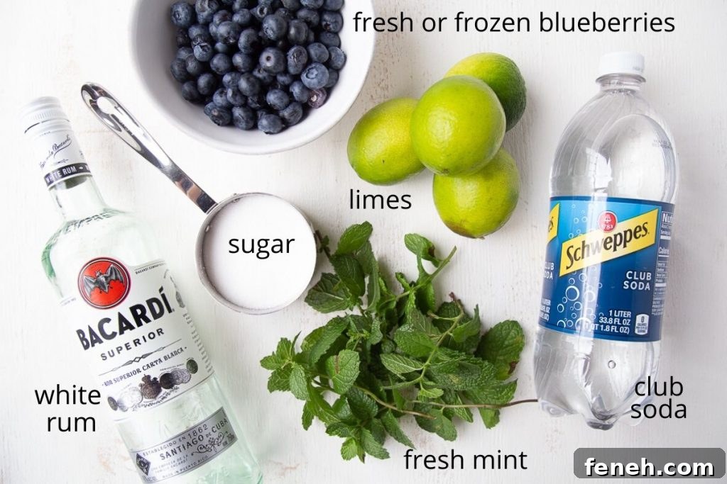 ingredients for a blueberry mojito on a white table